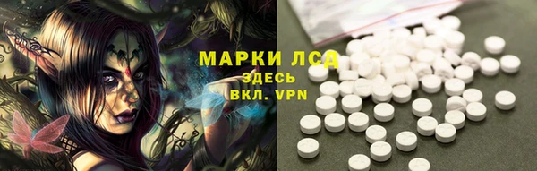 хмурый Ладушкин
