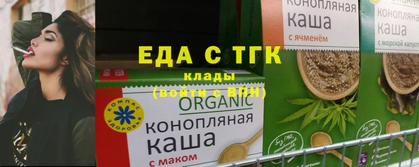 мдпв Краснослободск
