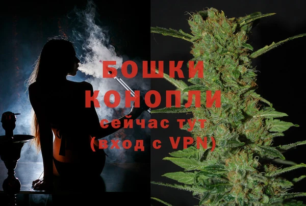 хмурый Ладушкин