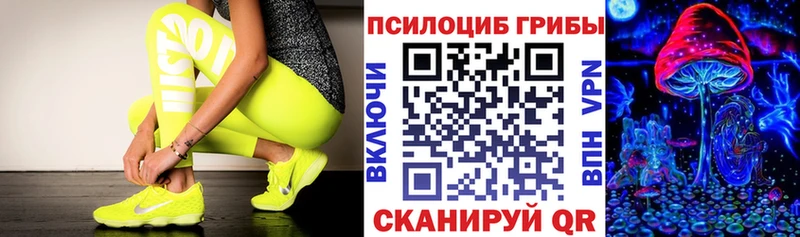 МЕГА tor  Надым  Галлюциногенные грибы мицелий  продажа наркотиков 
