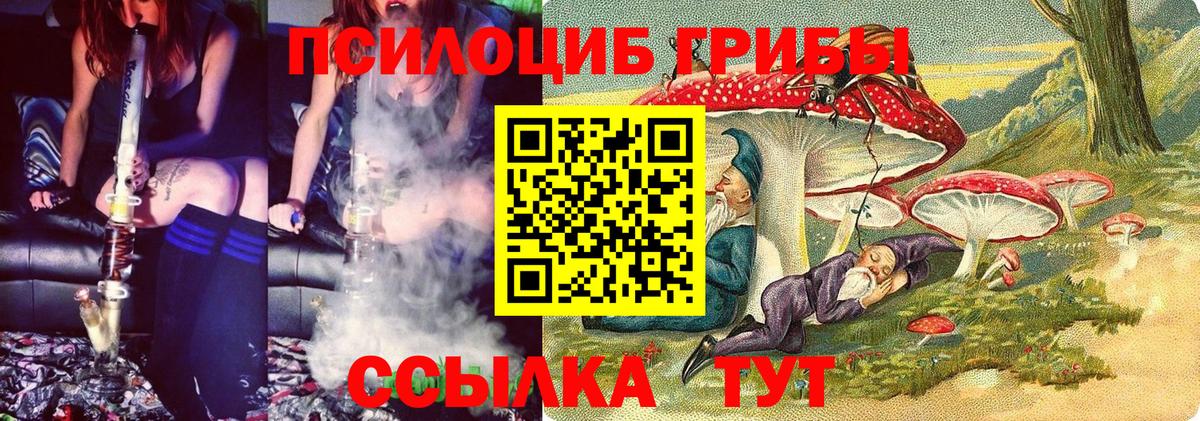 Галлюциногенные грибы Psilocybine cubensis Надым
